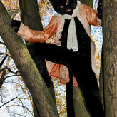 Opernwerkstatt am Rhein - Reinecke Fuchs (U. Hase - Kater Hinze)