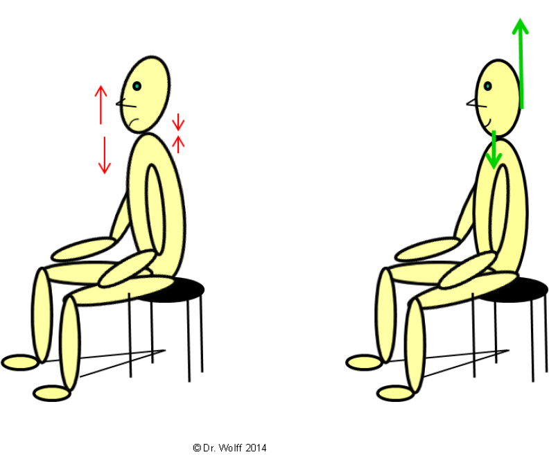 Dr, Wolff - Head and body position Dr, Wolff - Head and body position