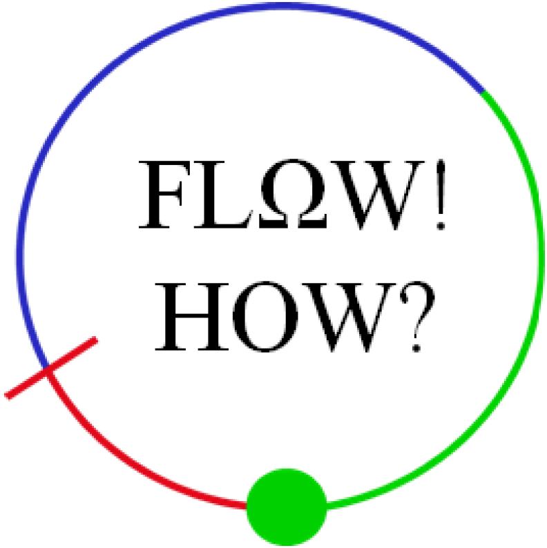 Dr. Wolff - How to induce FLOW Dr. Wolff - How to induce FLOW