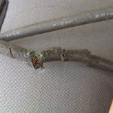 ganz schön gefährlich....