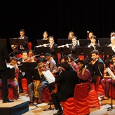 Beethovens 8. Symphonie während des Staatsempfangs für Angela Merkel in Neu-Delhi