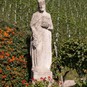 Spaziergang durch die Weinberge Neckarsulm (2006)