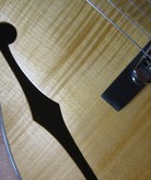 Henning Doderer Archtop