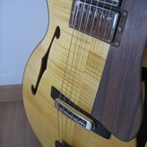 Henning Doderer Archtop