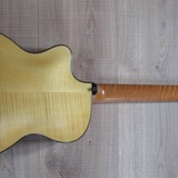 Henning Doderer Archtop