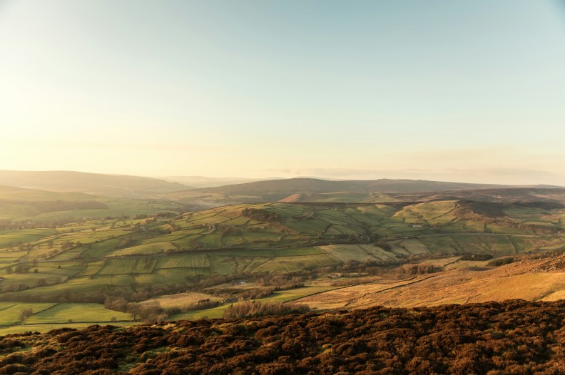 Foto: Jamie Davies auf UNSPLASH Foto: Jamie Davies auf UNSPLASH