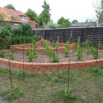 schon nach wenigen Wochen tritt erstes Wachstum auf