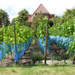 links zwei Zeilen Solaris, rechts Phönix