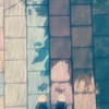 bunt