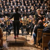 Haydns "Schöpfung" Dom Schleswig 2026, Foto: Wolfgang Pittkowski