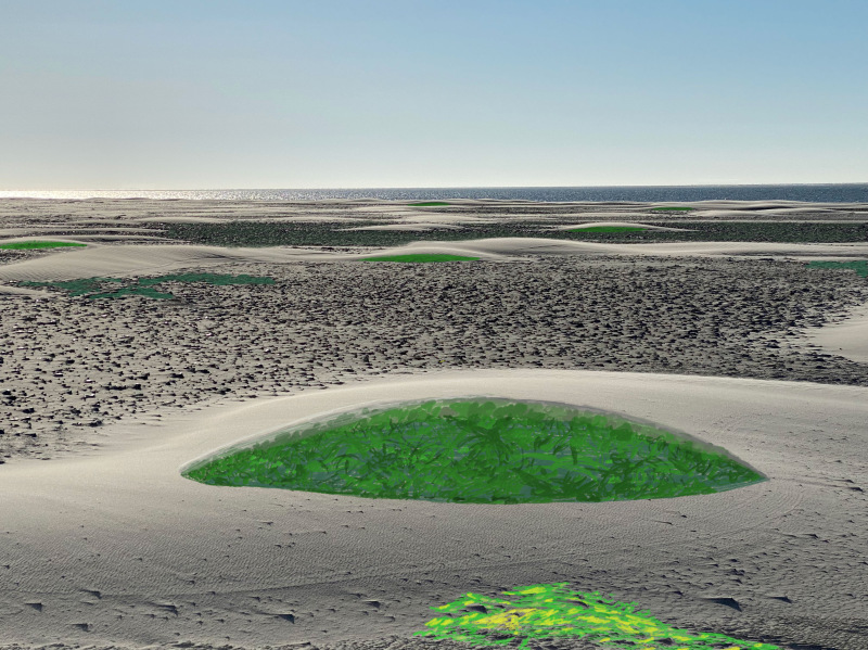 Moon on Earth or Reverse  (2023)  pencil as brush and eraser I art print on canvas I 42 x 59 cm