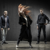 Acoustic Delight 2020