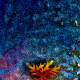 5 Bunter Baum