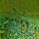 158 Grüne Landschaft