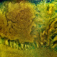 159 Wald und Wiese