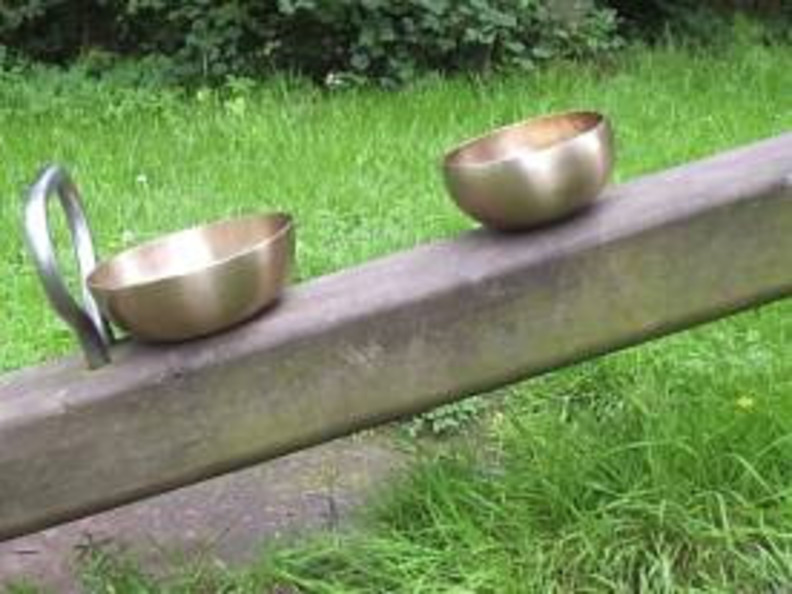 Gelenkschale und kleine Herzschale Gelenkschale und kleine Herzschale