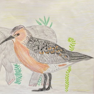 Ist dieser Knutt nicht super gemalt?