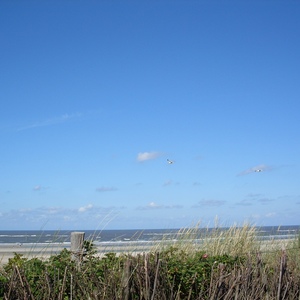 Schaut mal: So ist Friesland - wer will da nicht hin?