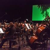 2. Oceane des Scheins