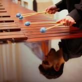 Bennon Gössel © Dorina Köbele-Milaş