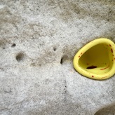 2025-08-30 (solange ich Menstruationsblut produziere, arbeite ich damit) Serie Nonnenstein 