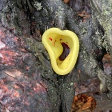 2025-08-30 (solange ich Menstruationsblut produziere, arbeite ich damit) Serie Nonnenstein 