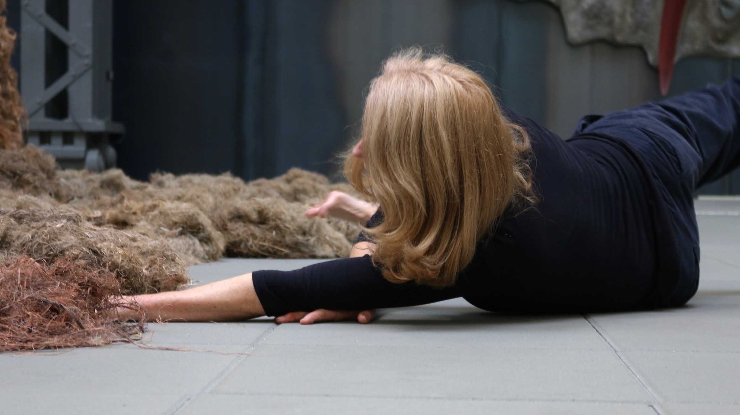 der Tanz im Netz des Lebens