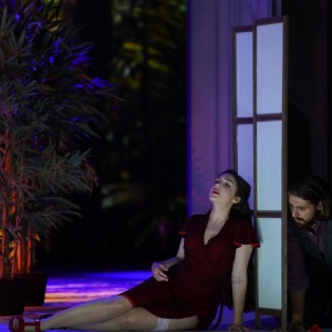 Als Susanna in W. A. Mozarts „Le nozze di Figaro“ (Figaro - K. Krimmel, Hessisches Staatstheater Wiesbaden). Foto von Karl und Monika Forster.