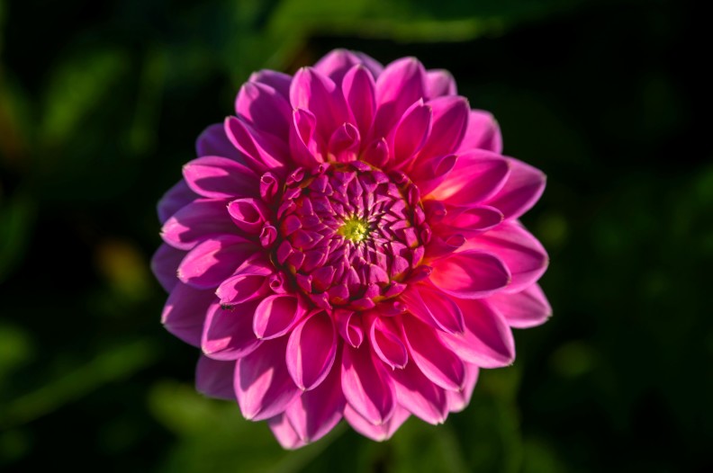 IM HEIL'GEN KREIS DER FRAUEN