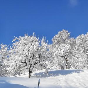 Winterzauber