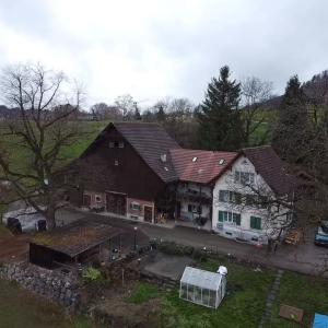 Alpaka-Weid in Elgg