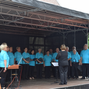 Lieder im Park_2017