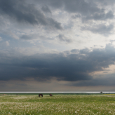 ©Hans-Joachim Ott