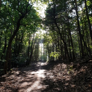 "kontinuierlicher Unterricht" 