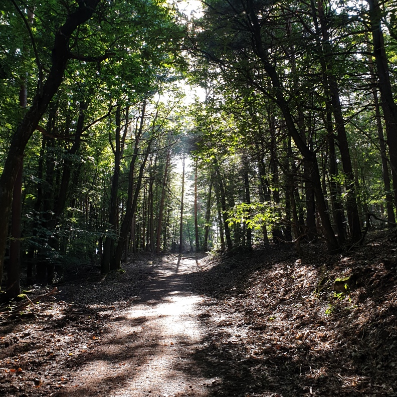 1:1 Coaching (D)/ Mentoring